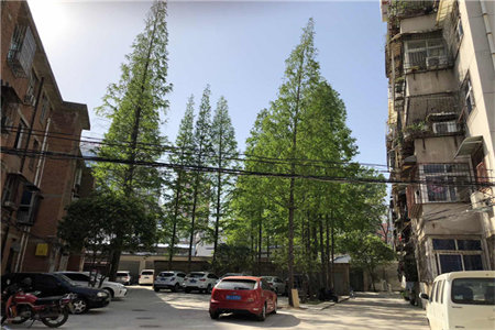 振兴北路机械厂宿舍2室1厅1卫